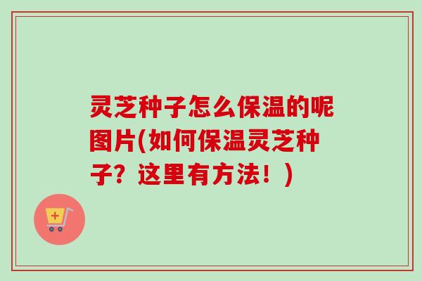 灵芝种子怎么保温的呢图片(如何保温灵芝种子？这里有方法！)-第1张图片-卓越灵芝孢子粉