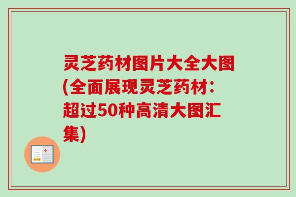 灵芝药材图片大全大图(全面展现灵芝药材：超过50种高清大图汇集)-第1张图片-卓越灵芝孢子粉