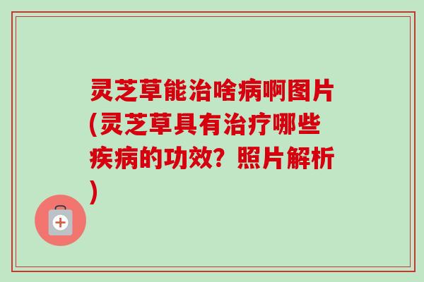 灵芝草能治啥病啊图片(灵芝草具有治疗哪些疾病的功效？照片解析)-第1张图片-卓越灵芝孢子粉