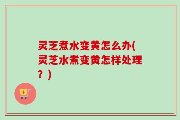 灵芝煮水变黄怎么办(灵芝水煮变黄怎样处理?)-第1张图片-卓越灵芝孢子粉 灵芝煮水变黄怎么办(灵芝水煮变黄怎样处理?)-第1张图片-卓越灵芝孢子粉