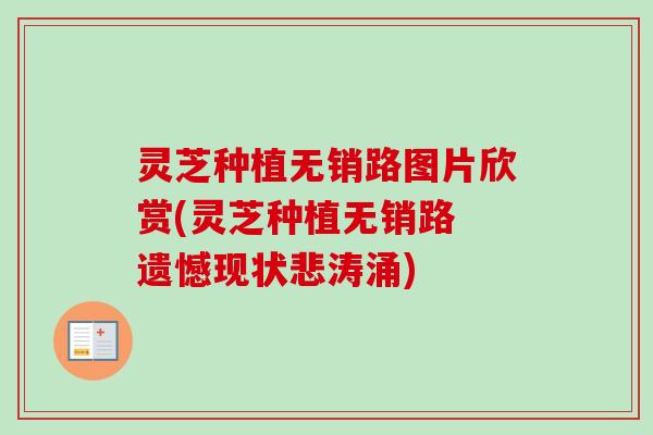 灵芝种植无销路图片欣赏(灵芝种植无销路 遗憾现状悲涛涌)-第1张图片-卓越灵芝孢子粉 灵芝种植无销路图片欣赏(灵芝种植无销路 遗憾现状悲涛涌)-第1张图片-卓越灵芝孢子粉