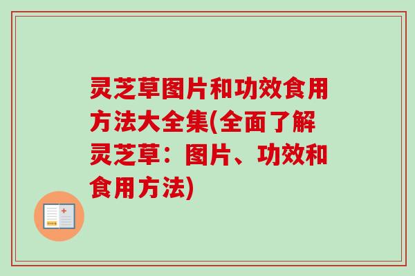 灵芝草图片和功效食用方法大全集(全面了解灵芝草:图片、功效和食用方法)-第1张图片-卓越灵芝孢子粉 灵芝草图片和功效食用方法大全集(全面了解灵芝草:图片、功效和食用方法)-第1张图片-卓越灵芝孢子粉
