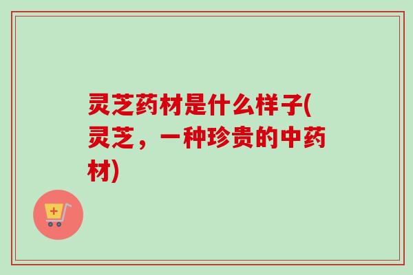 灵芝药材是什么样子(灵芝,一种珍贵的中药材)-第1张图片-卓越灵芝孢子粉 灵芝药材是什么样子(灵芝,一种珍贵的中药材)-第1张图片-卓越灵芝孢子粉