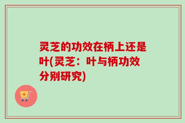 灵芝的功效在柄上还是叶(灵芝:叶与柄功效分别研究)-第1张图片-卓越灵芝孢子粉 灵芝的功效在柄上还是叶(灵芝:叶与柄功效分别研究)-第1张图片-卓越灵芝孢子粉