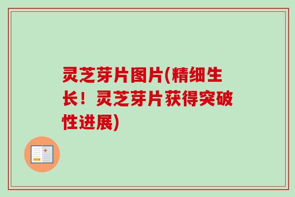 灵芝芽片图片(精细生长!灵芝芽片获得突破性进展)-第1张图片-卓越灵芝孢子粉 灵芝芽片图片(精细生长!灵芝芽片获得突破性进展)-第1张图片-卓越灵芝孢子粉