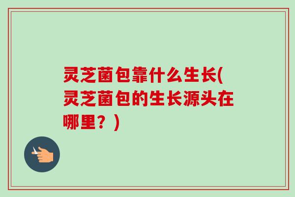 灵芝菌包靠什么生长(灵芝菌包的生长源头在哪里？)-第1张图片-卓越灵芝孢子粉