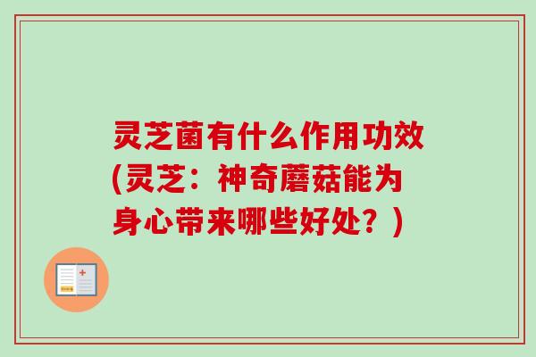 灵芝菌有什么作用功效(灵芝:神奇蘑菇能为身心带来哪些好处?)-第1张图片-卓越灵芝孢子粉 灵芝菌有什么作用功效(灵芝:神奇蘑菇能为身心带来哪些好处?)-第1张图片-卓越灵芝孢子粉