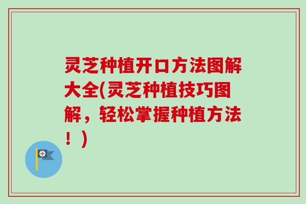 灵芝种植开口方法图解大全(灵芝种植技巧图解，轻松掌握种植方法！)-第1张图片-卓越灵芝孢子粉