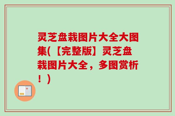 灵芝盘栽图片大全大图集(【完整版】灵芝盘栽图片大全,多图赏析!)-第1张图片-卓越灵芝孢子粉 灵芝盘栽图片大全大图集(【完整版】灵芝盘栽图片大全,多图赏析!)-第1张图片-卓越灵芝孢子粉