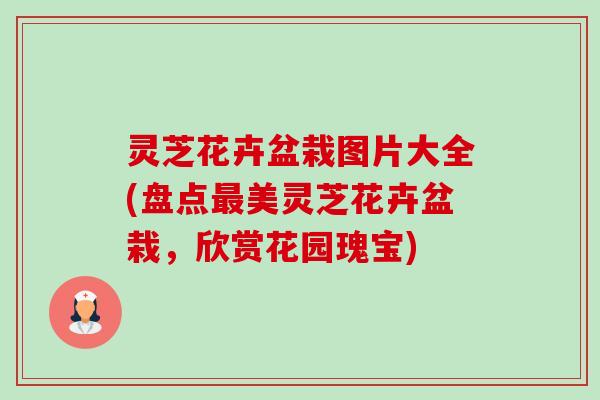 灵芝花卉盆栽图片大全(盘点最美灵芝花卉盆栽，欣赏花园瑰宝)-第1张图片-卓越灵芝孢子粉