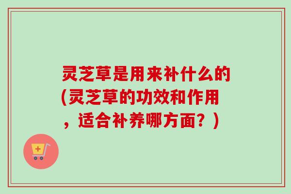 灵芝草是用来补什么的(灵芝草的功效和作用，适合补养哪方面？)-第1张图片-卓越灵芝孢子粉