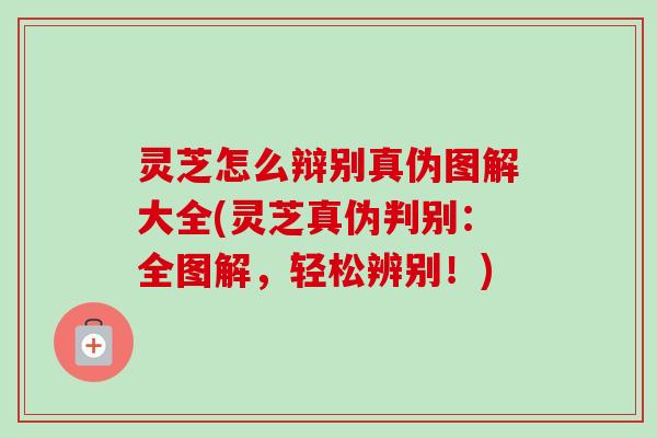 灵芝怎么辩别真伪图解大全(灵芝真伪判别:全图解,轻松辨别!)-第1张图片-卓越灵芝孢子粉 灵芝怎么辩别真伪图解大全(灵芝真伪判别:全图解,轻松辨别!)-第1张图片-卓越灵芝孢子粉