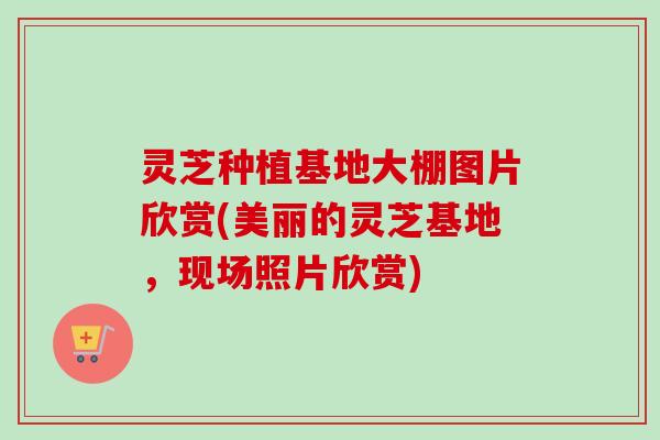 灵芝种植基地大棚图片欣赏(美丽的灵芝基地，现场照片欣赏)-第1张图片-卓越灵芝孢子粉