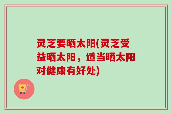 灵芝要晒太阳(灵芝受益晒太阳,适当晒太阳对健康有好处)-第1张图片-卓越灵芝孢子粉 灵芝要晒太阳(灵芝受益晒太阳,适当晒太阳对健康有好处)-第1张图片-卓越灵芝孢子粉