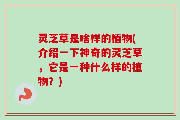 灵芝草是啥样的植物(介绍一下神奇的灵芝草，它是一种什么样的植物？)-第1张图片-卓越灵芝孢子粉