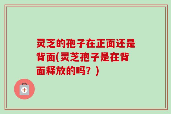 灵芝的孢子在正面还是背面(灵芝孢子是在背面释放的吗?)-第1张图片-卓越灵芝孢子粉 灵芝的孢子在正面还是背面(灵芝孢子是在背面释放的吗?)-第1张图片-卓越灵芝孢子粉