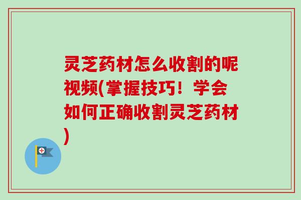 灵芝药材怎么收割的呢视频(掌握技巧!学会如何正确收割灵芝药材)-第1张图片-卓越灵芝孢子粉 灵芝药材怎么收割的呢视频(掌握技巧!学会如何正确收割灵芝药材)-第1张图片-卓越灵芝孢子粉