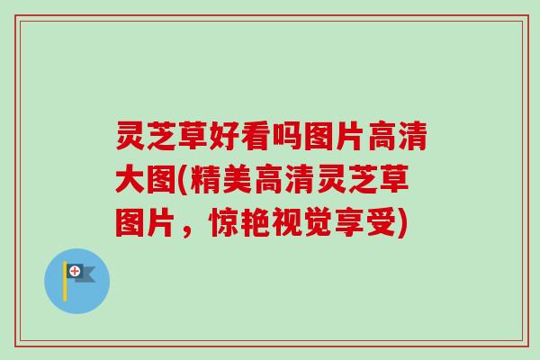 灵芝草好看吗图片高清大图(精美高清灵芝草图片，惊艳视觉享受)-第1张图片-卓越灵芝孢子粉