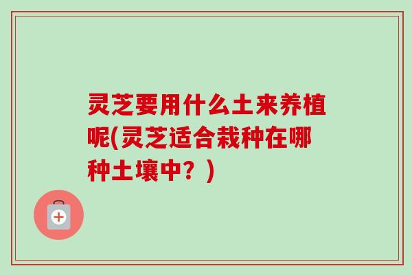 灵芝要用什么土来养植呢(灵芝适合栽种在哪种土壤中?)-第1张图片-卓越灵芝孢子粉 灵芝要用什么土来养植呢(灵芝适合栽种在哪种土壤中?)-第1张图片-卓越灵芝孢子粉