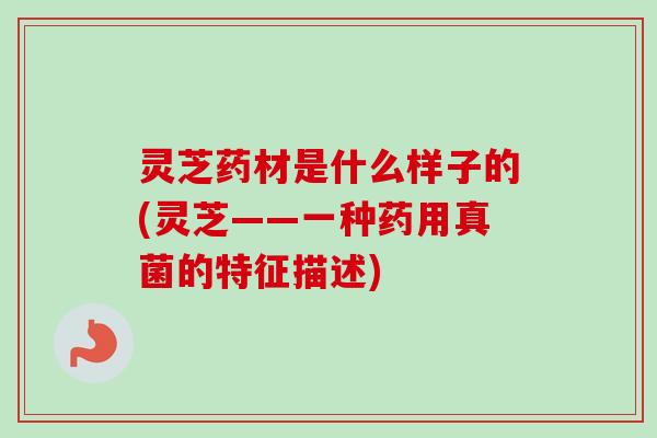 灵芝药材是什么样子的(灵芝——一种药用真菌的特征描述)-第1张图片-卓越灵芝孢子粉
