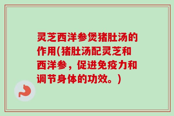 灵芝西洋参煲猪肚汤的作用(猪肚汤配灵芝和西洋参，促进免疫力和调节身体的功效。)-第1张图片-卓越灵芝孢子粉