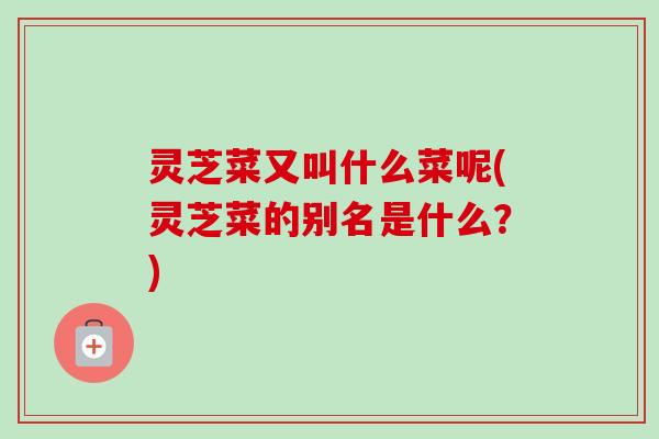 灵芝菜又叫什么菜呢(灵芝菜的别名是什么?)-第1张图片-卓越灵芝孢子粉 灵芝菜又叫什么菜呢(灵芝菜的别名是什么?)-第1张图片-卓越灵芝孢子粉