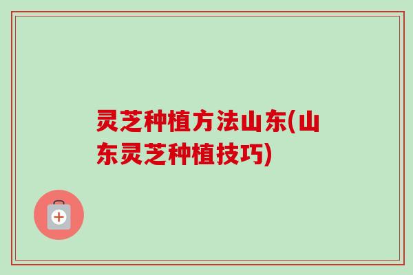 灵芝种植方法山东(山东灵芝种植技巧)-第1张图片-卓越灵芝孢子粉 灵芝种植方法山东(山东灵芝种植技巧)-第1张图片-卓越灵芝孢子粉