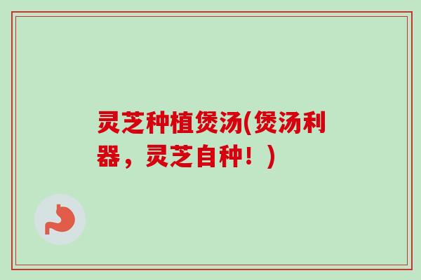 灵芝种植煲汤(煲汤利器,灵芝自种!)-第1张图片-卓越灵芝孢子粉 灵芝种植煲汤(煲汤利器,灵芝自种!)-第1张图片-卓越灵芝孢子粉