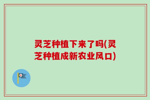 灵芝种植下来了吗(灵芝种植成新农业风口)-第1张图片-卓越灵芝孢子粉 灵芝种植下来了吗(灵芝种植成新农业风口)-第1张图片-卓越灵芝孢子粉