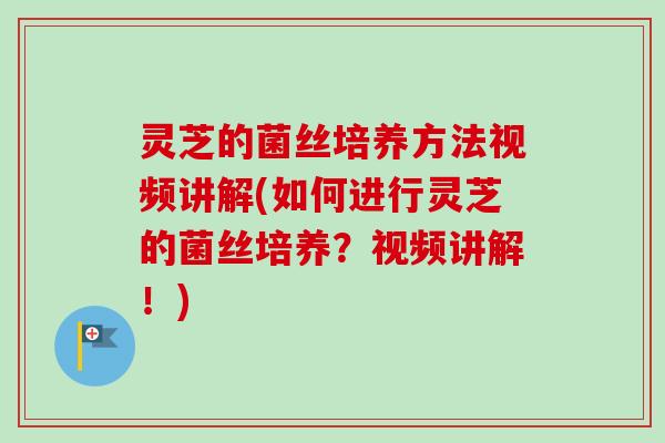灵芝的菌丝培养方法视频讲解(如何进行灵芝的菌丝培养?视频讲解!)-第1张图片-卓越灵芝孢子粉 灵芝的菌丝培养方法视频讲解(如何进行灵芝的菌丝培养?视频讲解!)-第1张图片-卓越灵芝孢子粉