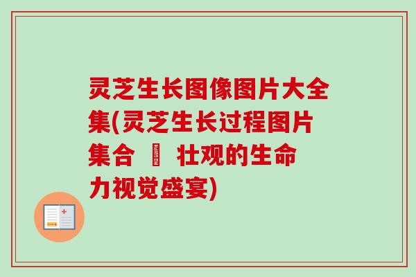 灵芝生长图像图片大全集(灵芝生长过程图片集合 – 壮观的生命力视觉盛宴)-第1张图片-卓越灵芝孢子粉