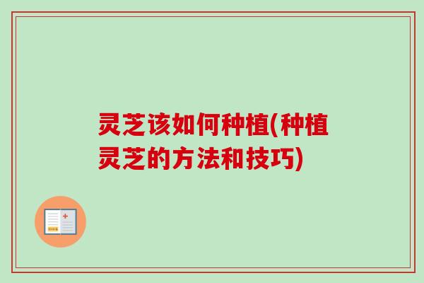 灵芝该如何种植(种植灵芝的方法和技巧)-第1张图片-卓越灵芝孢子粉 灵芝该如何种植(种植灵芝的方法和技巧)-第1张图片-卓越灵芝孢子粉