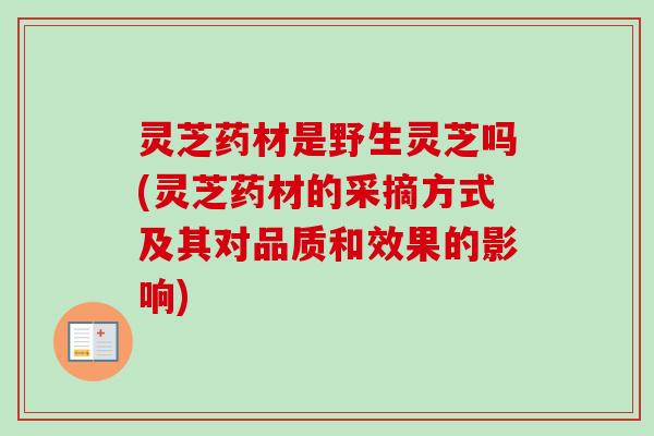 灵芝药材是野生灵芝吗(灵芝药材的采摘方式及其对品质和效果的影响)-第1张图片-卓越灵芝孢子粉