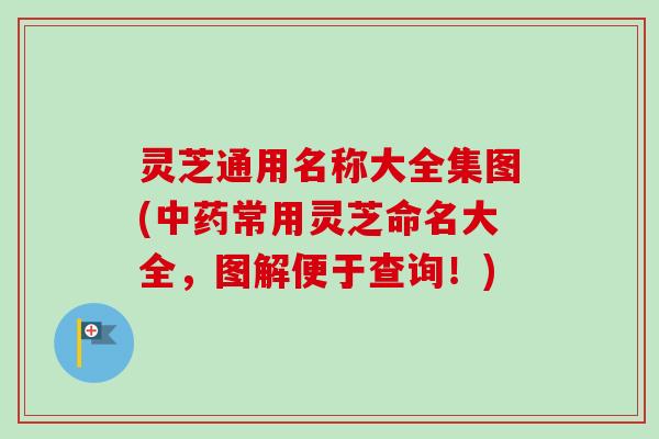 灵芝通用名称大全集图(中药常用灵芝命名大全,图解便于查询!)-第1张图片-卓越灵芝孢子粉 灵芝通用名称大全集图(中药常用灵芝命名大全,图解便于查询!)-第1张图片-卓越灵芝孢子粉