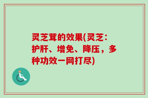 灵芝茸的效果(灵芝:护肝、增免、降压,多种功效一网打尽)-第1张图片-卓越灵芝孢子粉 灵芝茸的效果(灵芝:护肝、增免、降压,多种功效一网打尽)-第1张图片-卓越灵芝孢子粉