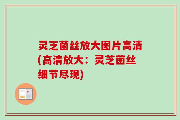 灵芝菌丝放大图片高清(高清放大:灵芝菌丝细节尽现)-第1张图片-卓越灵芝孢子粉 灵芝菌丝放大图片高清(高清放大:灵芝菌丝细节尽现)-第1张图片-卓越灵芝孢子粉