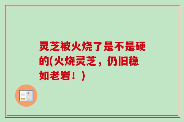 灵芝被火烧了是不是硬的(火烧灵芝，仍旧稳如老岩！)-第1张图片-卓越灵芝孢子粉