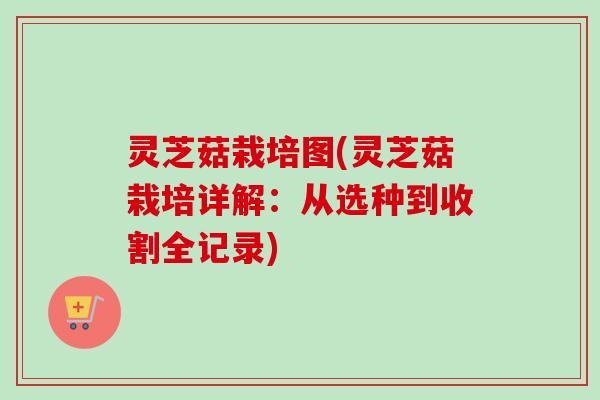 灵芝菇栽培图(灵芝菇栽培详解：从选种到收割全记录)-第1张图片-卓越灵芝孢子粉