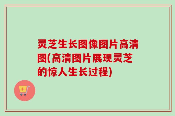 灵芝生长图像图片高清图(高清图片展现灵芝的惊人生长过程)-第1张图片-卓越灵芝孢子粉 灵芝生长图像图片高清图(高清图片展现灵芝的惊人生长过程)-第1张图片-卓越灵芝孢子粉