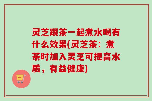 灵芝跟茶一起煮水喝有什么效果(灵芝茶:煮茶时加入灵芝可提高水质,有益健康)-第1张图片-卓越灵芝孢子粉 灵芝跟茶一起煮水喝有什么效果(灵芝茶:煮茶时加入灵芝可提高水质,有益健康)-第1张图片-卓越灵芝孢子粉