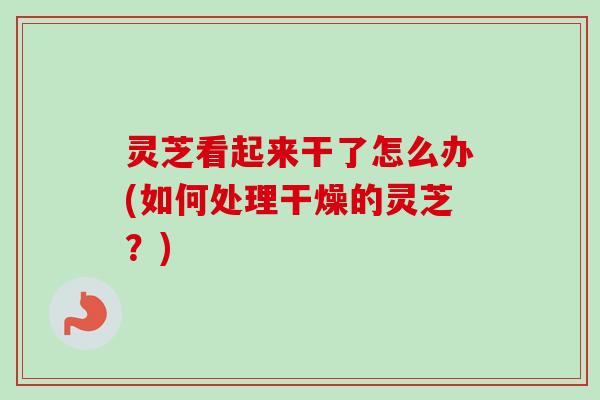 灵芝看起来干了怎么办(如何处理干燥的灵芝?)-第1张图片-卓越灵芝孢子粉 灵芝看起来干了怎么办(如何处理干燥的灵芝?)-第1张图片-卓越灵芝孢子粉