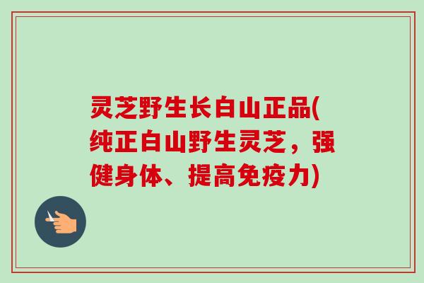 灵芝野生长白山正品(纯正白山野生灵芝,强健身体、提高免疫力)-第1张图片-卓越灵芝孢子粉 灵芝野生长白山正品(纯正白山野生灵芝,强健身体、提高免疫力)-第1张图片-卓越灵芝孢子粉
