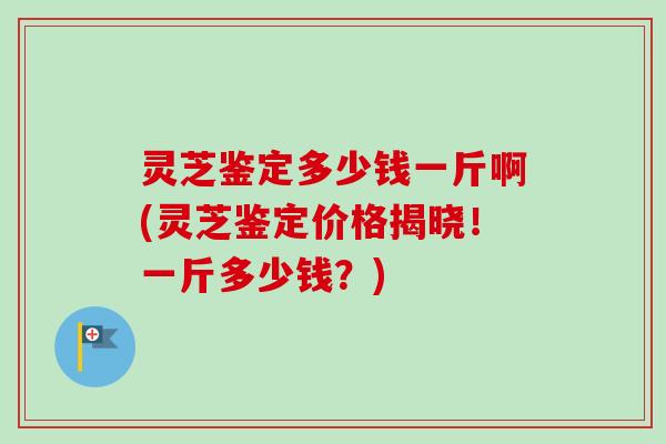 灵芝鉴定多少钱一斤啊(灵芝鉴定价格揭晓!一斤多少钱?)-第1张图片-卓越灵芝孢子粉 灵芝鉴定多少钱一斤啊(灵芝鉴定价格揭晓!一斤多少钱?)-第1张图片-卓越灵芝孢子粉