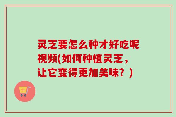 灵芝要怎么种才好吃呢视频(如何种植灵芝,让它变得更加美味?)-第1张图片-卓越灵芝孢子粉 灵芝要怎么种才好吃呢视频(如何种植灵芝,让它变得更加美味?)-第1张图片-卓越灵芝孢子粉
