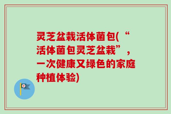 灵芝盆栽活体菌包(“活体菌包灵芝盆栽”,一次健康又绿色的家庭种植体验)-第1张图片-卓越灵芝孢子粉 灵芝盆栽活体菌包(“活体菌包灵芝盆栽”,一次健康又绿色的家庭种植体验)-第1张图片-卓越灵芝孢子粉