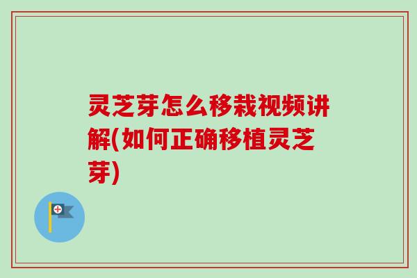 灵芝芽怎么移栽视频讲解(如何正确移植灵芝芽)-第1张图片-卓越灵芝孢子粉
