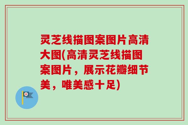 灵芝线描图案图片高清大图(高清灵芝线描图案图片,展示花瓣细节美,唯美感十足)-第1张图片-卓越灵芝孢子粉 灵芝线描图案图片高清大图(高清灵芝线描图案图片,展示花瓣细节美,唯美感十足)-第1张图片-卓越灵芝孢子粉