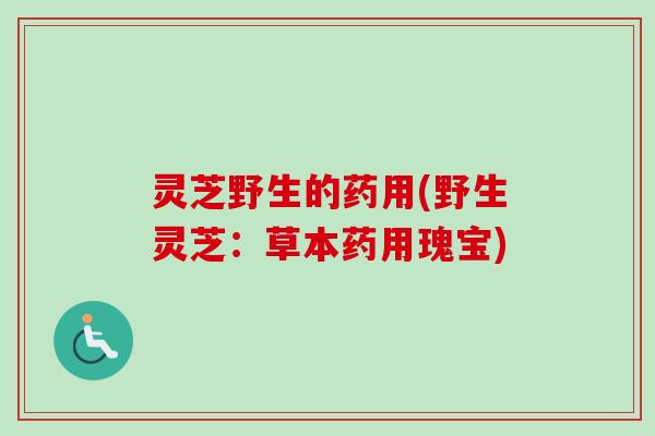 灵芝野生的药用(野生灵芝:草本药用瑰宝)-第1张图片-卓越灵芝孢子粉 灵芝野生的药用(野生灵芝:草本药用瑰宝)-第1张图片-卓越灵芝孢子粉