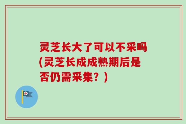 灵芝长大了可以不采吗(灵芝长成成熟期后是否仍需采集?)-第1张图片-卓越灵芝孢子粉 灵芝长大了可以不采吗(灵芝长成成熟期后是否仍需采集?)-第1张图片-卓越灵芝孢子粉