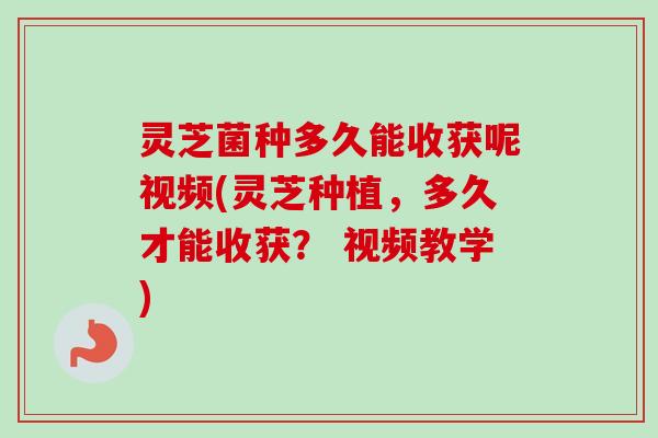 灵芝菌种多久能收获呢视频(灵芝种植,多久才能收获? 视频教学)-第1张图片-卓越灵芝孢子粉 灵芝菌种多久能收获呢视频(灵芝种植,多久才能收获? 视频教学)-第1张图片-卓越灵芝孢子粉